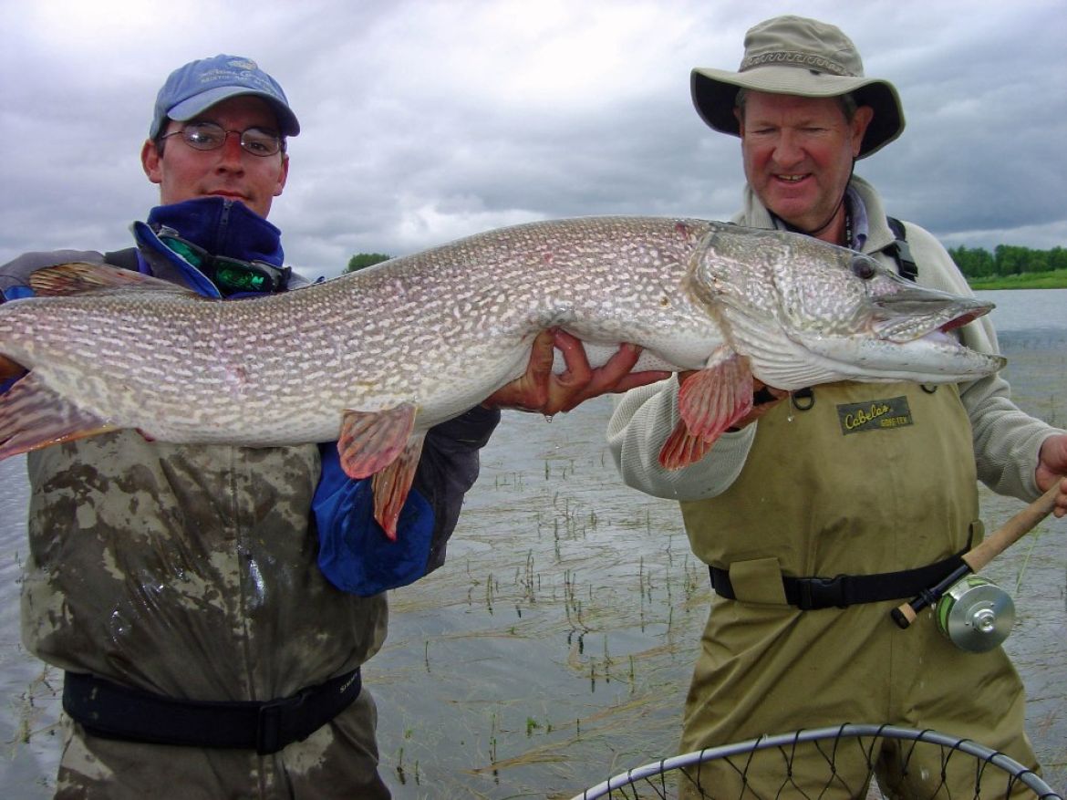 Trophy Northern Pike on Mouse patterns