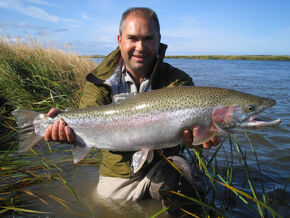 Alaska Rainbow Trout