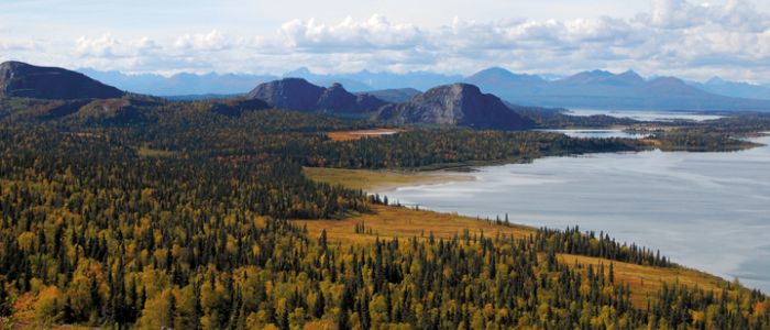 bristol bay alaska fishing