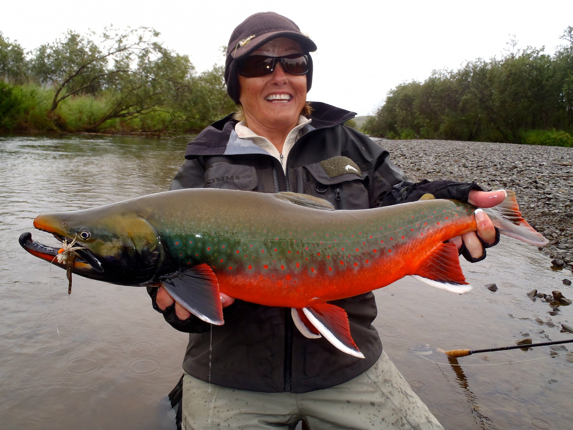 alaska king salmon