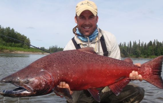 alaska salmon fishing lodge