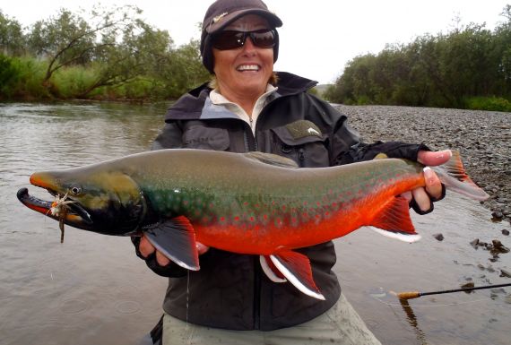 Alaska Dolly Varden