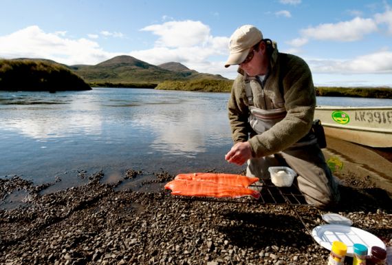 Alaska Salmon Fishing